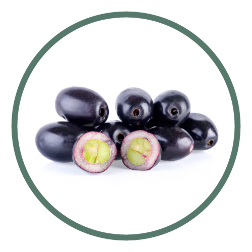Jamun
